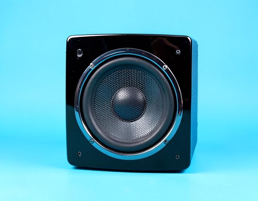 SVS PB-1000 Pro 12" Ported Sub